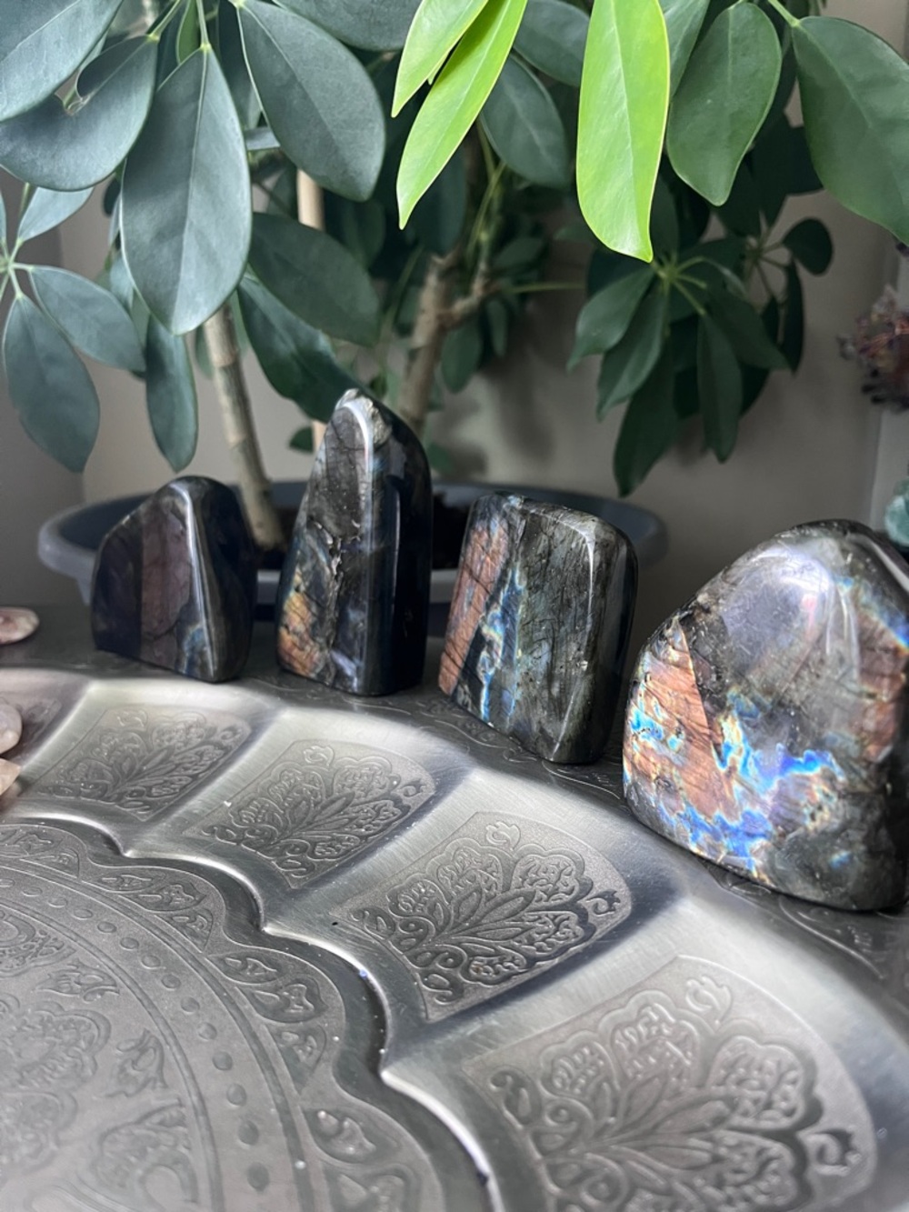 Labradorite Freeform